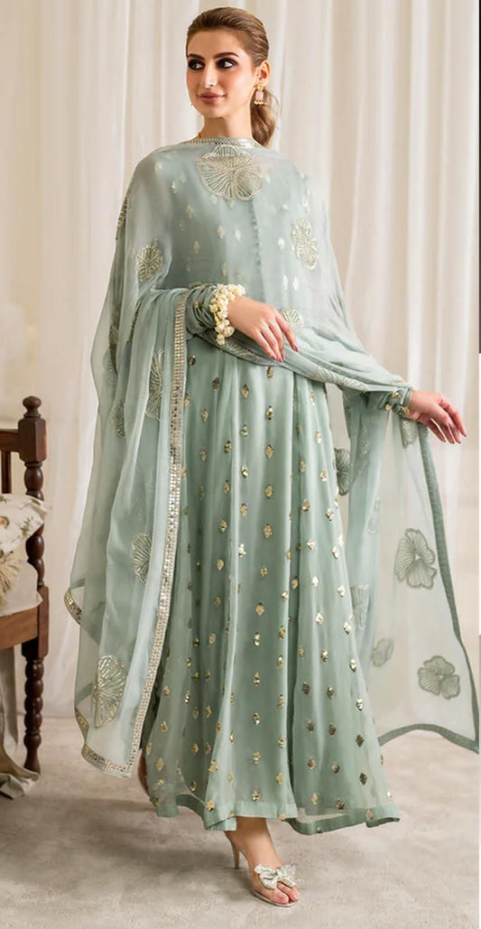 traditional chiffon embroidered dress